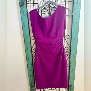 Diane von Furstenberg Fuchsia Sheath Dress Size 4 | Pleated Waist, Satin Lining